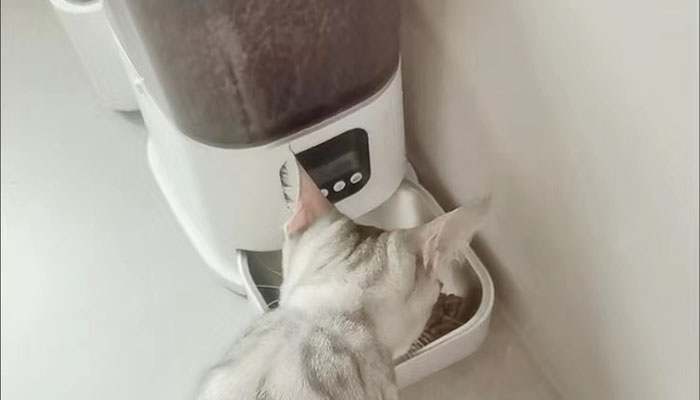 寵物喂食器產品方案設計說明